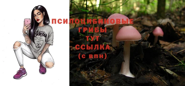 не бодяженный Богородск